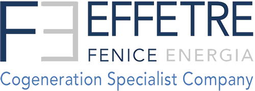 logo-F3 FENICE ENERGIA copy